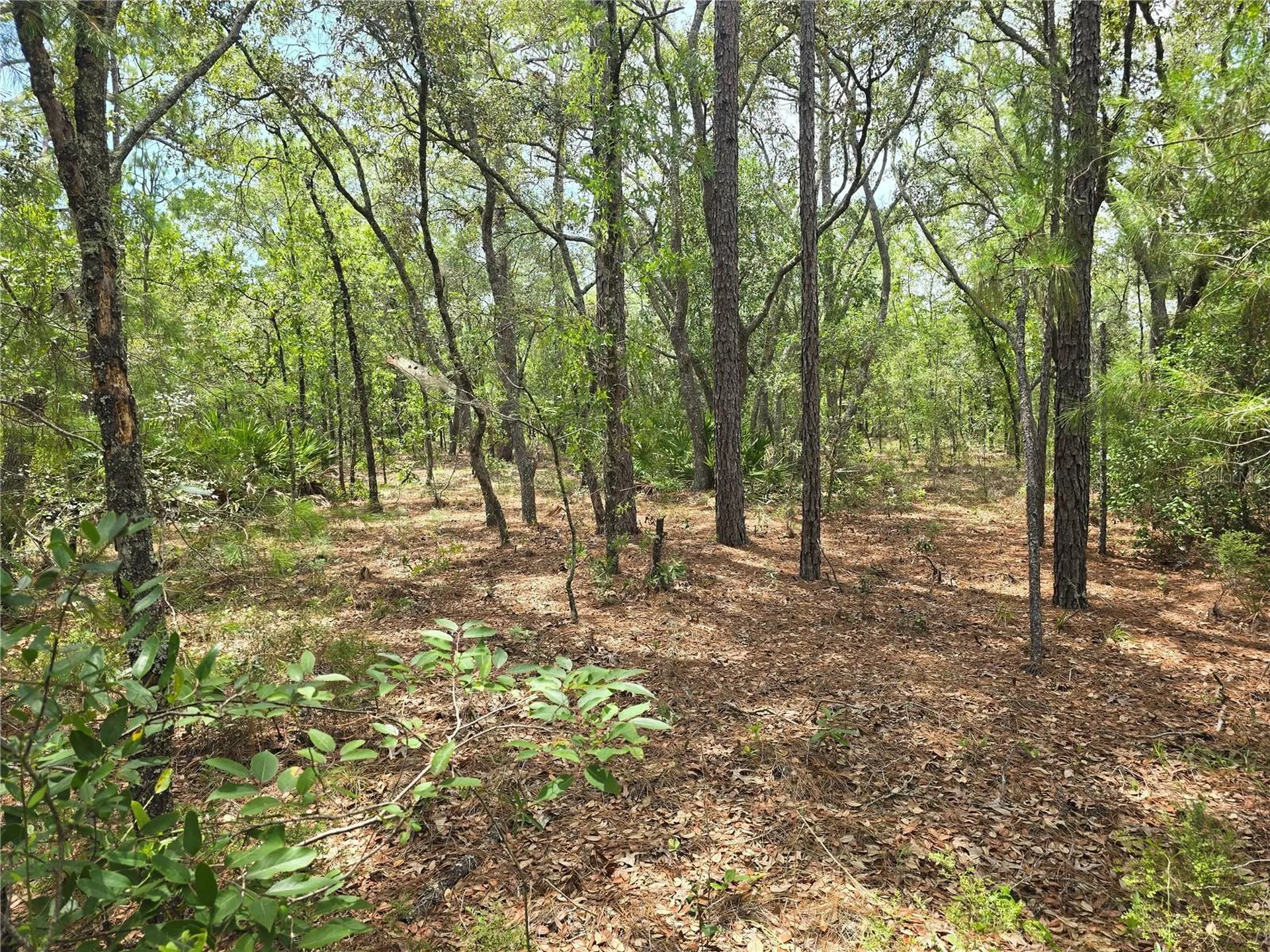6468 N Baylor Terrace Dunnellon FL 34433