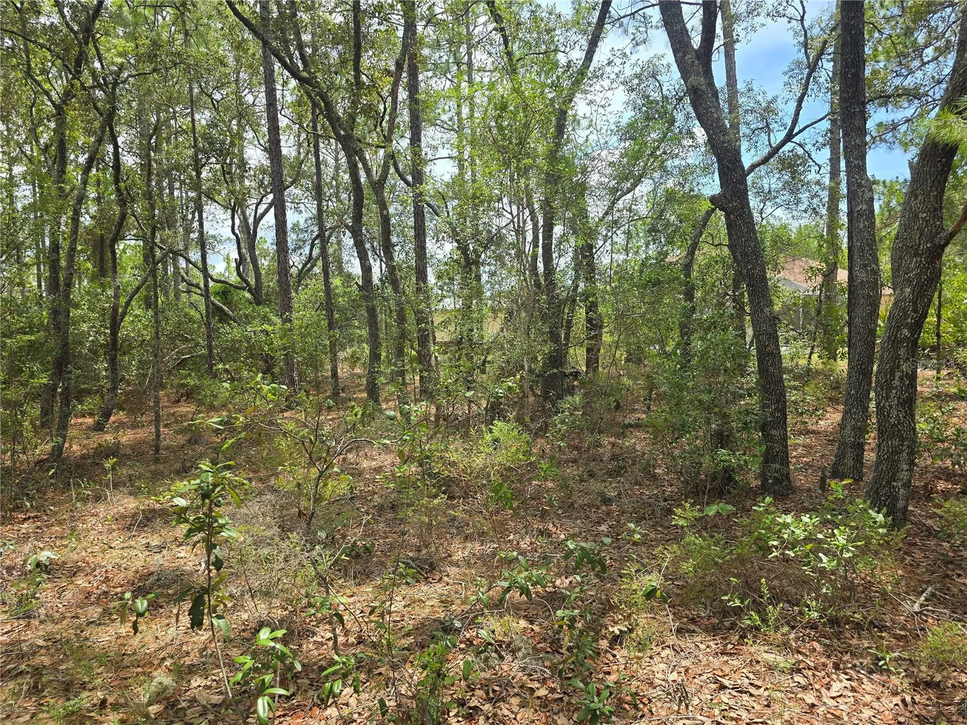 6468 N Baylor Terrace Dunnellon FL 34433
