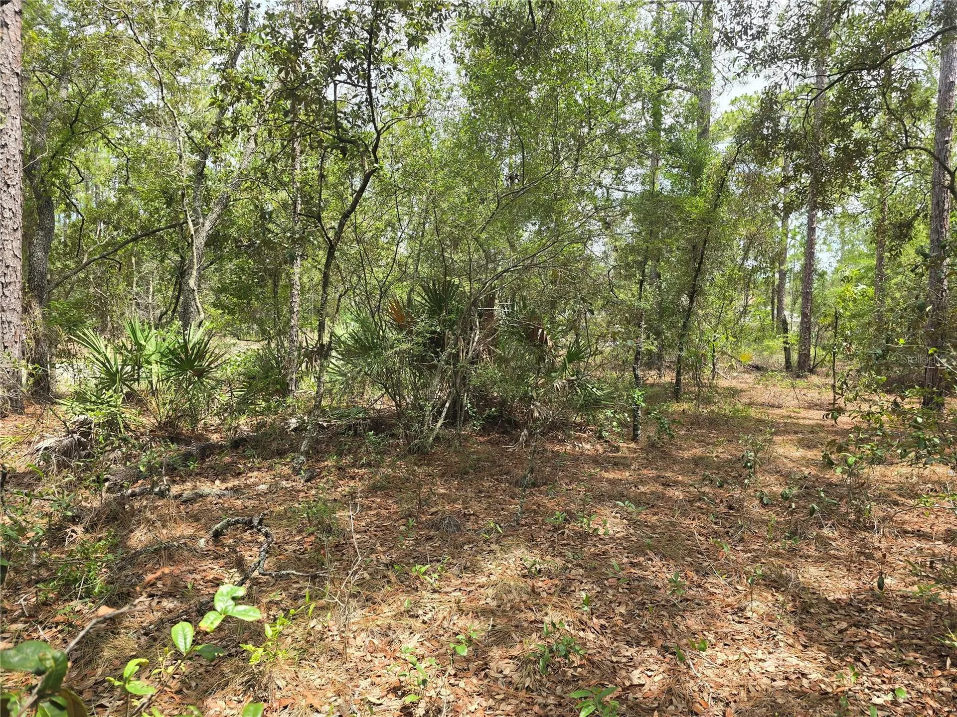 6468 N Baylor Terrace Dunnellon FL 34433