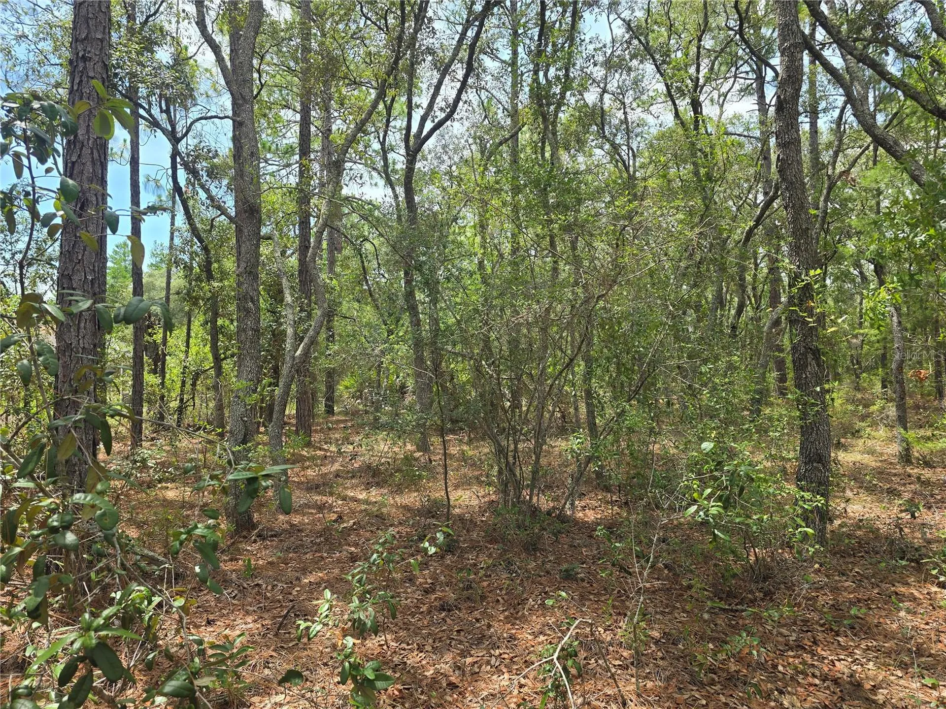 6468 N Baylor Terrace Dunnellon FL 34433