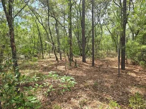 6468 N Baylor Terrace Dunnellon FL 34433