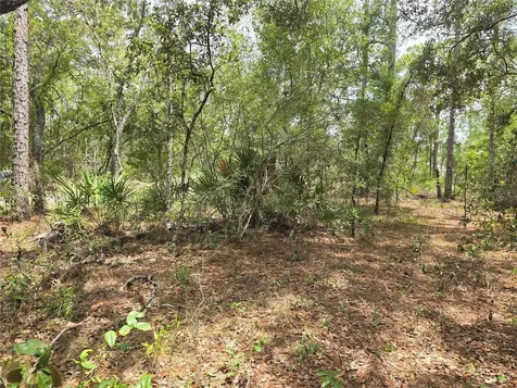 6468 N Baylor Terrace Dunnellon FL 34433