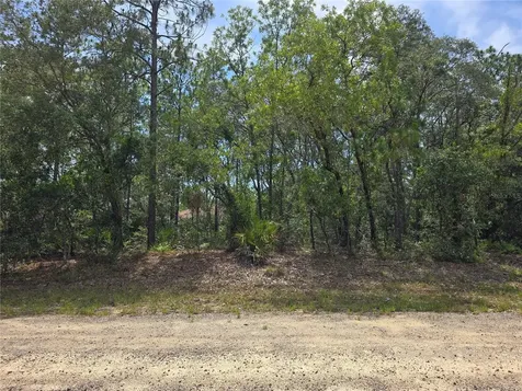 6468 N Baylor Terrace Dunnellon FL 34433