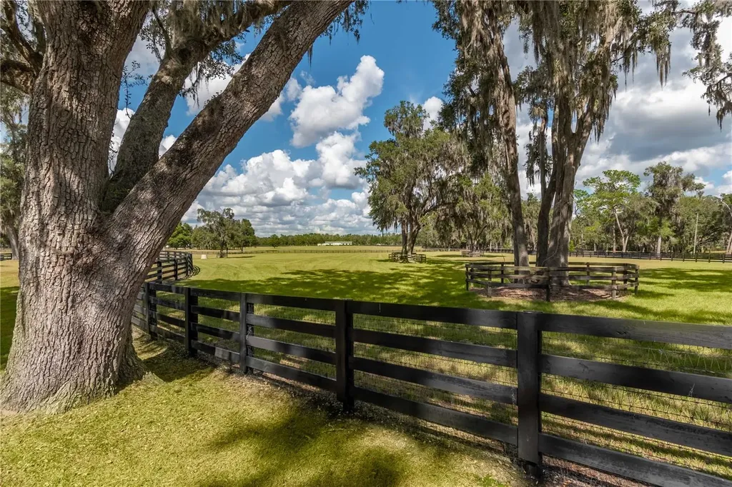 6140 NW 145th Avenue Road Morriston FL 32668