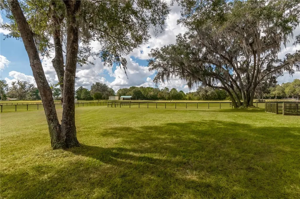 6140 NW 145th Avenue Road Morriston FL 32668