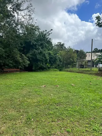 Calle Juan Ramos Bo. Guaraguao Guaynabo PR 00969