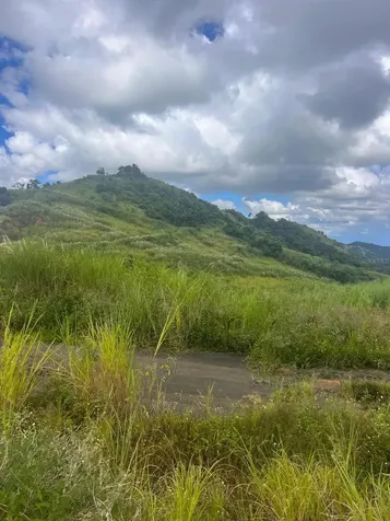 Perchas Morovis PR 00687