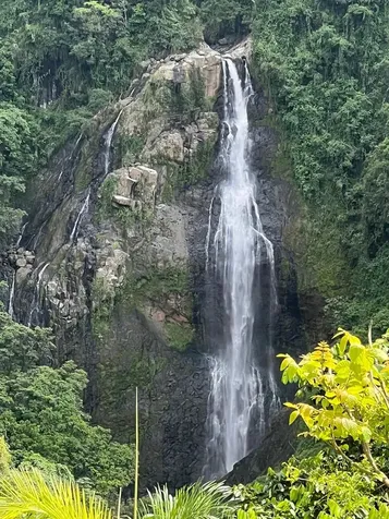 Perchas Morovis PR 00687