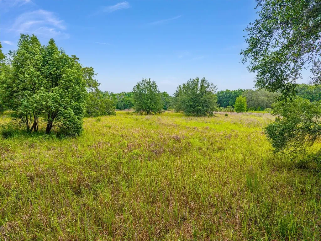 Tbd S Highway 301 Summerfield FL 34491