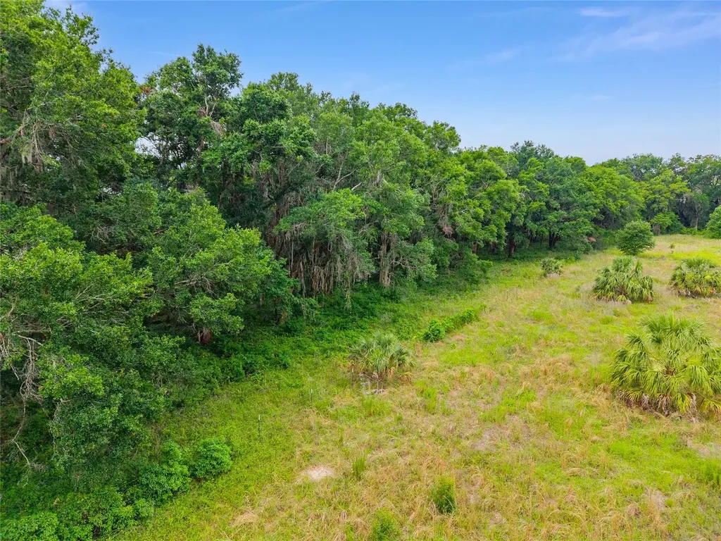 Tbd S Highway 301 Summerfield FL 34491