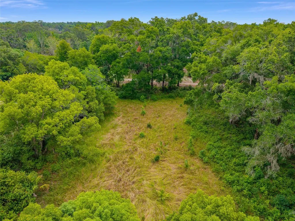 Tbd S Highway 301 Summerfield FL 34491