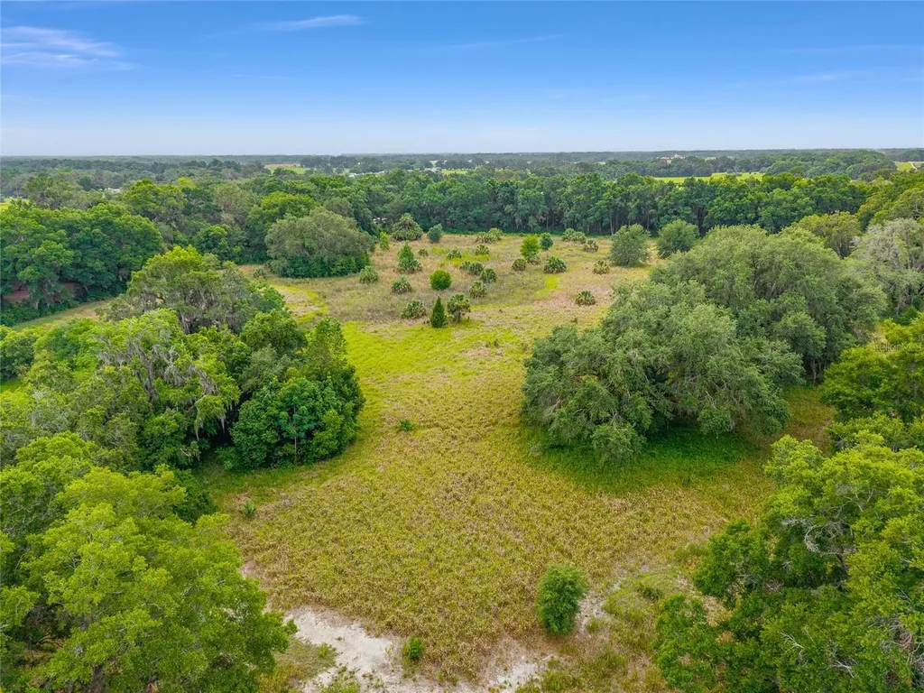 Tbd S Highway 301 Summerfield FL 34491