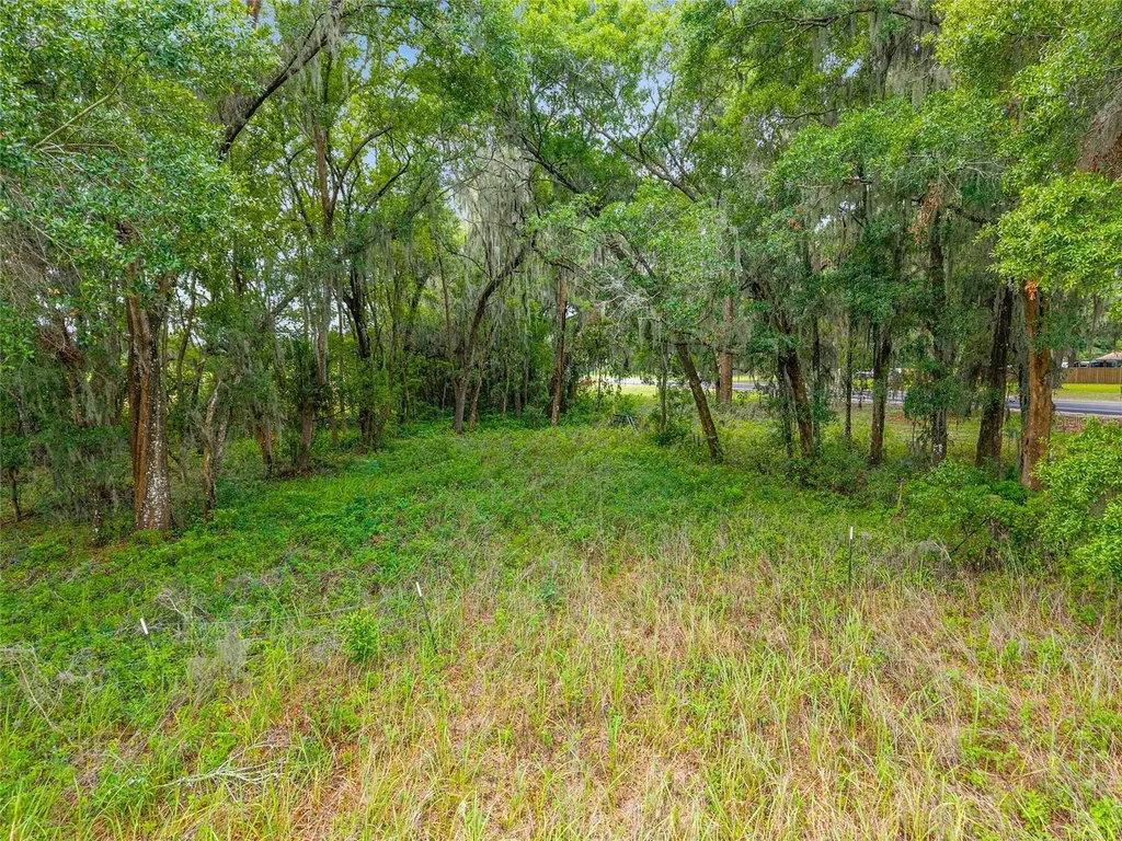Tbd S Highway 301 Summerfield FL 34491