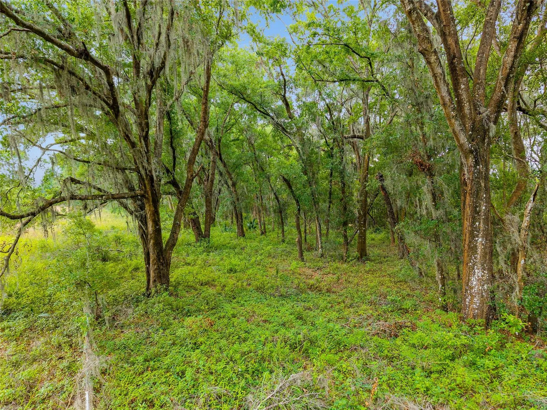 Tbd S Highway 301 Summerfield FL 34491