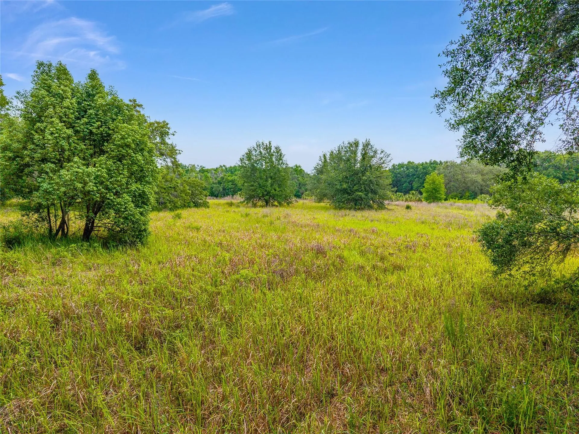 Tbd S Highway 301 Summerfield FL 34491