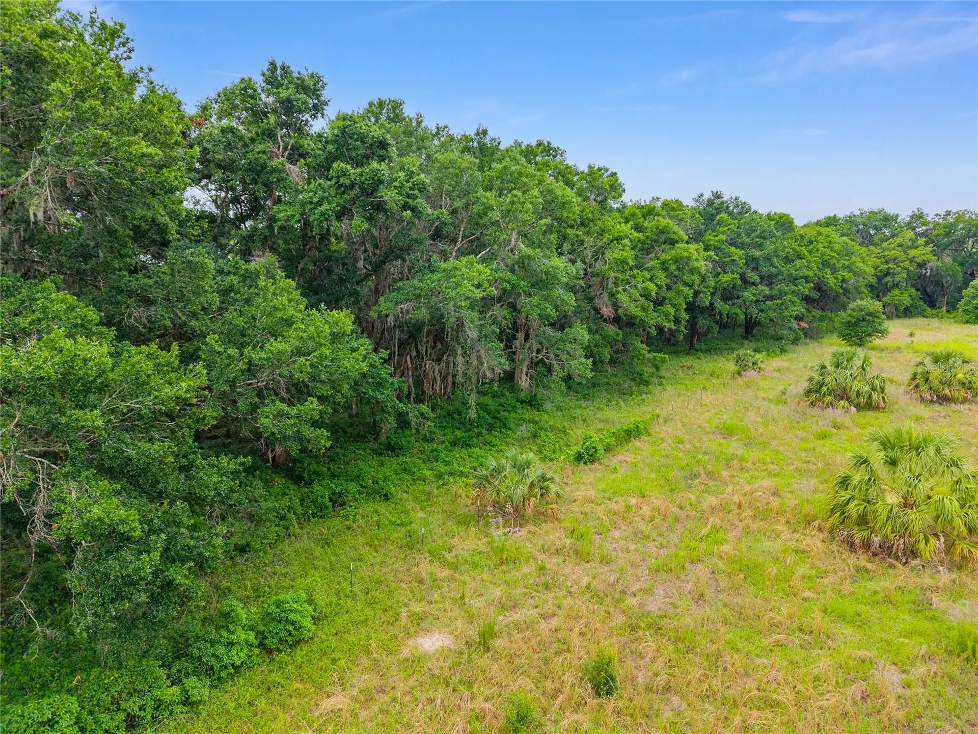 Tbd S Highway 301 Summerfield FL 34491