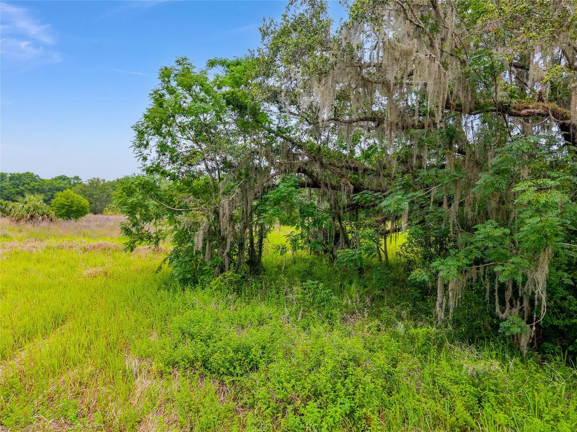 Tbd S Highway 301 Summerfield FL 34491