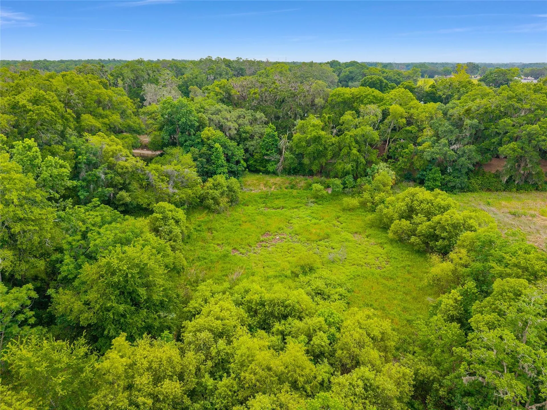 Tbd S Highway 301 Summerfield FL 34491