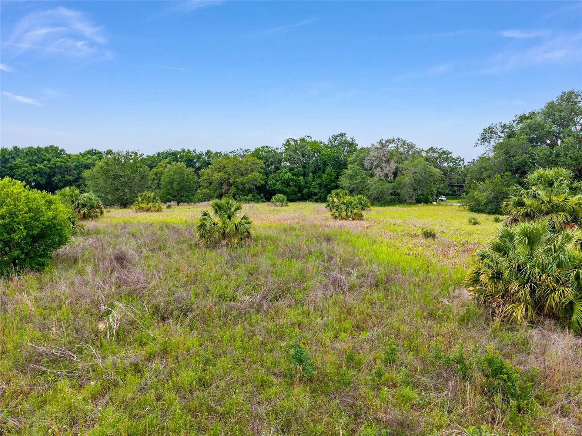 Tbd S Highway 301 Summerfield FL 34491