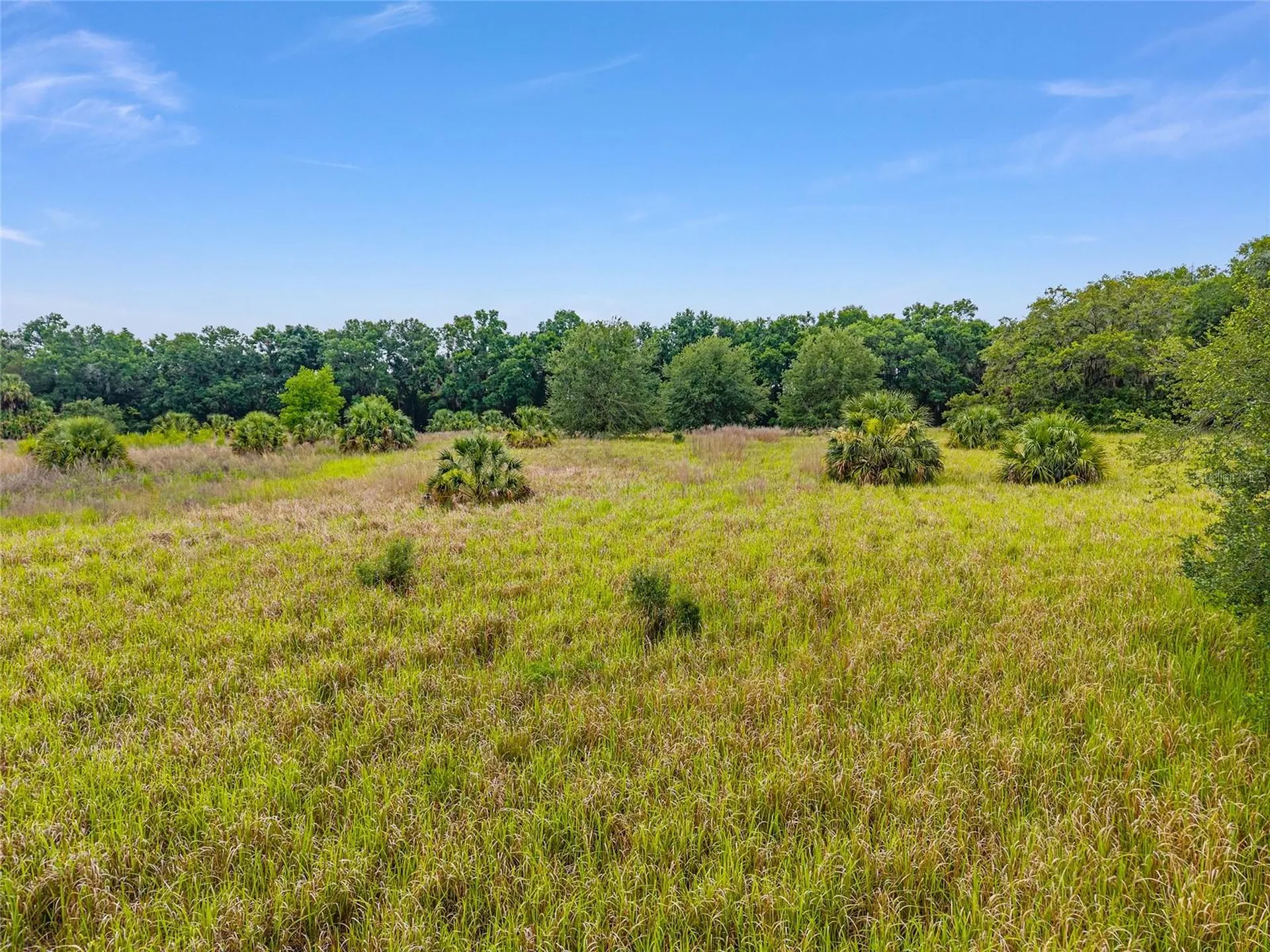Tbd S Highway 301 Summerfield FL 34491