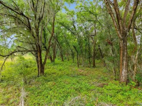 Tbd S Highway 301 Summerfield FL 34491