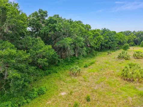 Tbd S Highway 301 Summerfield FL 34491