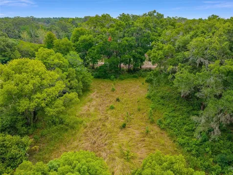 Tbd S Highway 301 Summerfield FL 34491