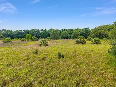 Tbd S Highway 301 Summerfield FL 34491