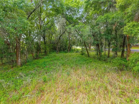 Tbd S Highway 301 Summerfield FL 34491