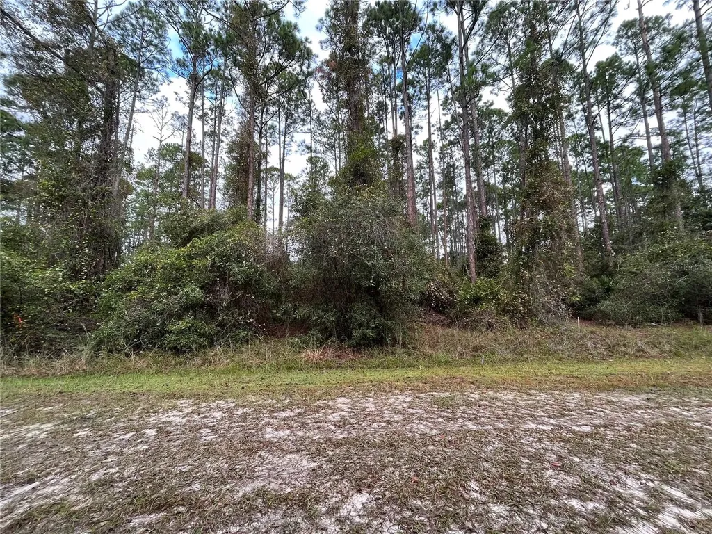 108 SE 5th Street Georgetown FL 32139