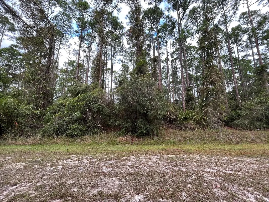 108 SE 5th Street Georgetown FL 32139