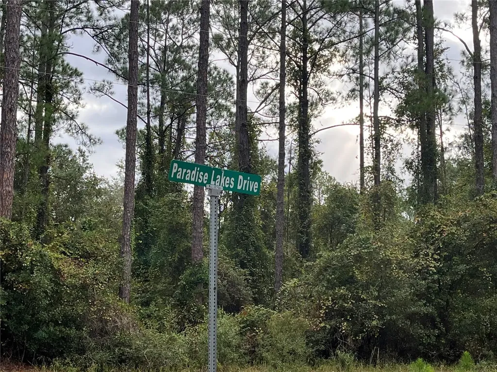 108 SE 5th Street Georgetown FL 32139