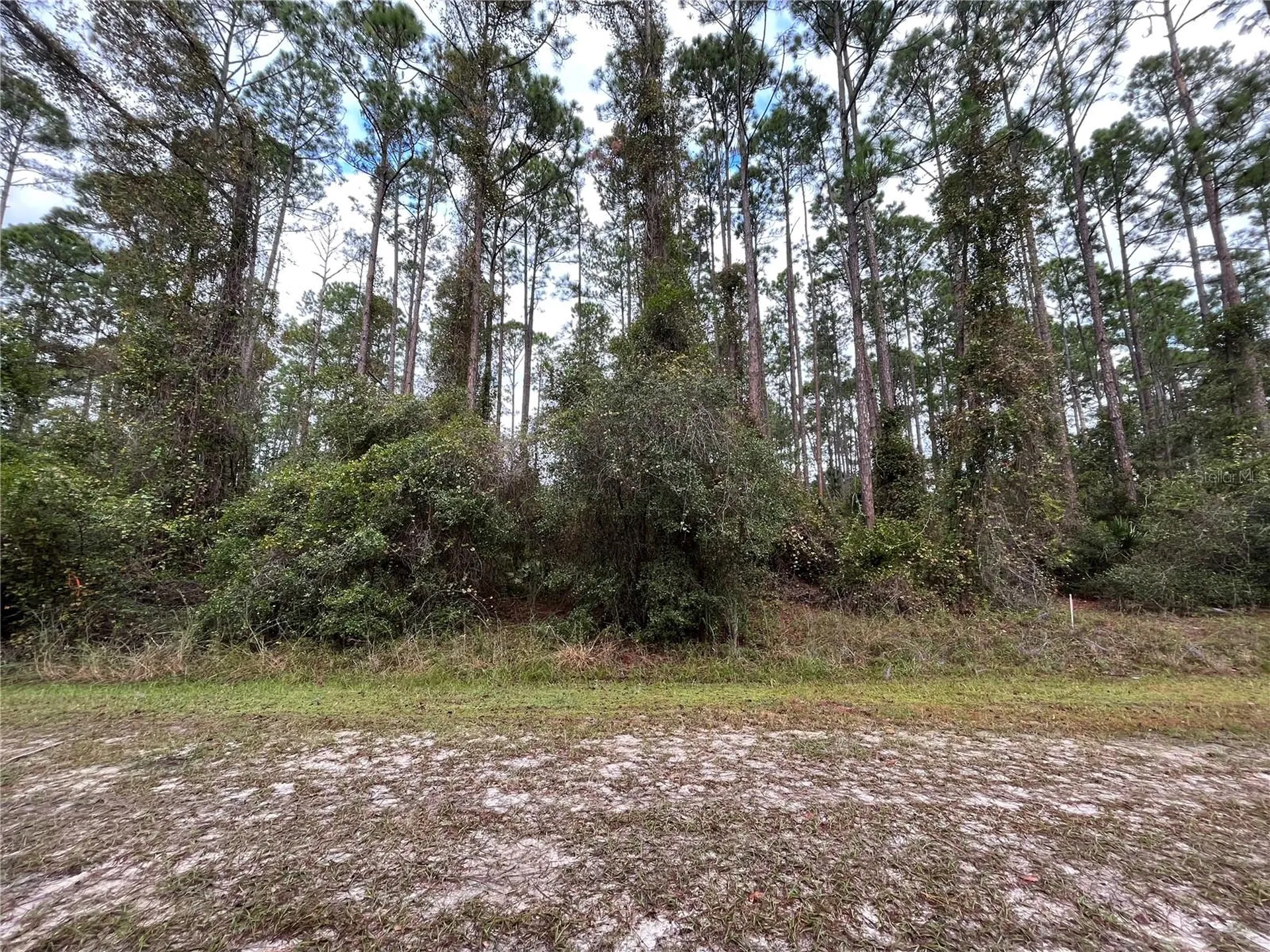 108 SE 5th Street Georgetown FL 32139