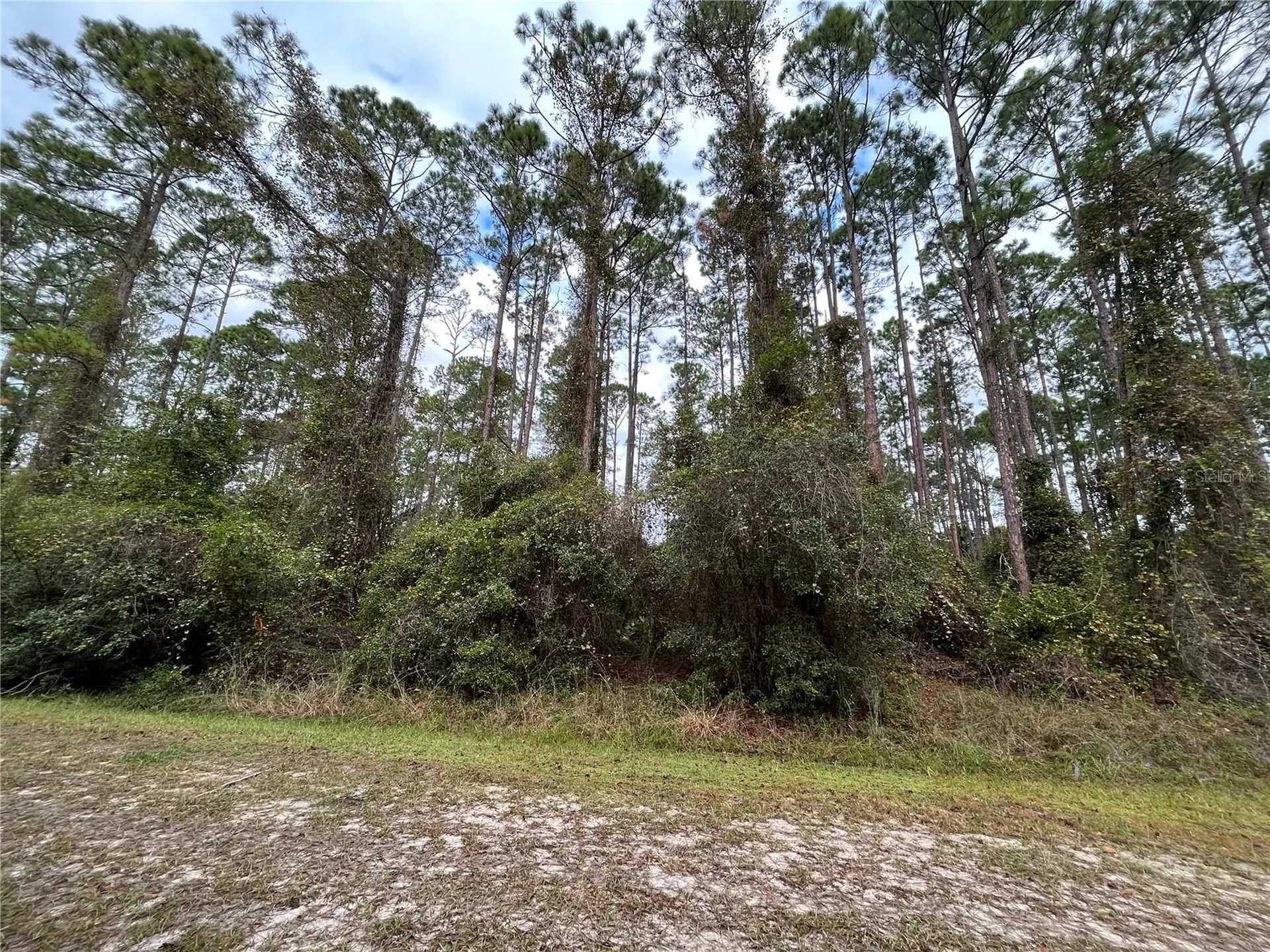 108 SE 5th Street Georgetown FL 32139