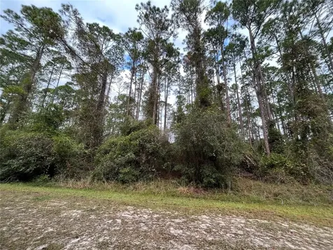 108 SE 5th Street Georgetown FL 32139