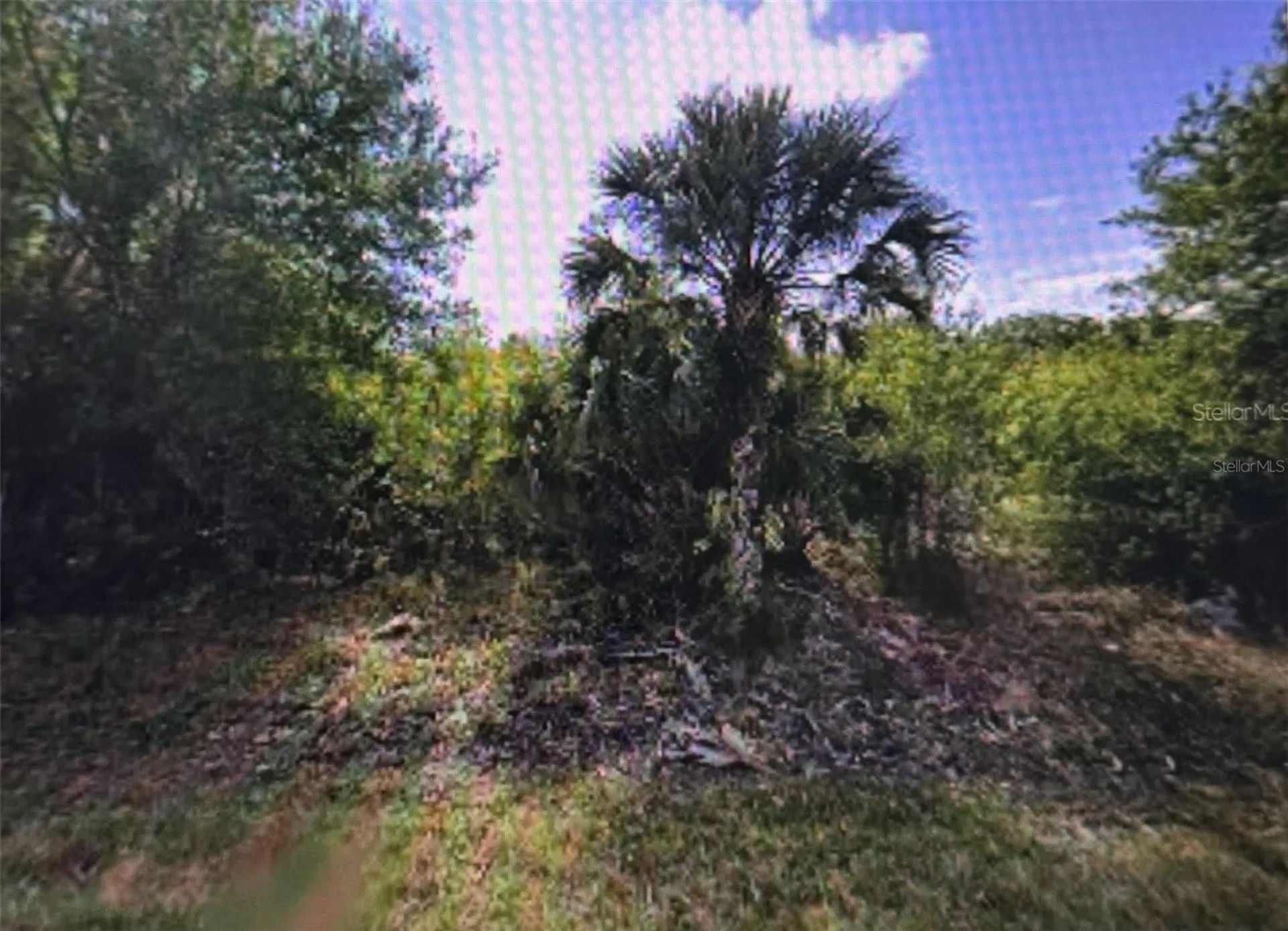 11443 3rd Avenue Punta Gorda FL 33955