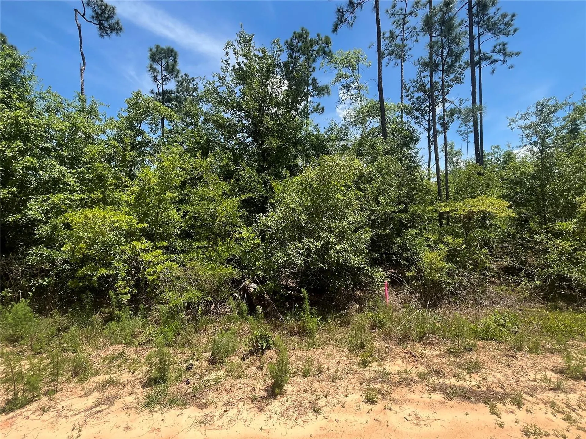 Tamarac Road Marianna FL 32448