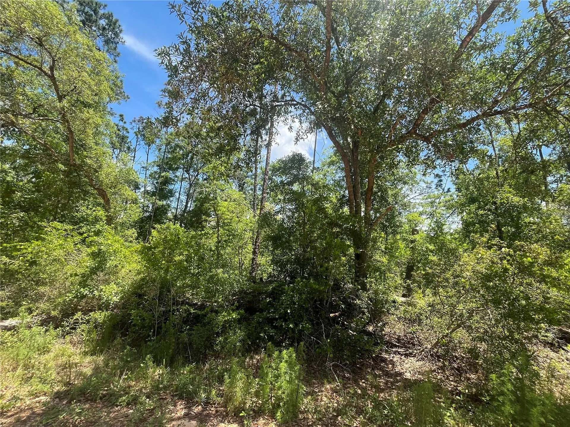 Tamarac Road Marianna FL 32448