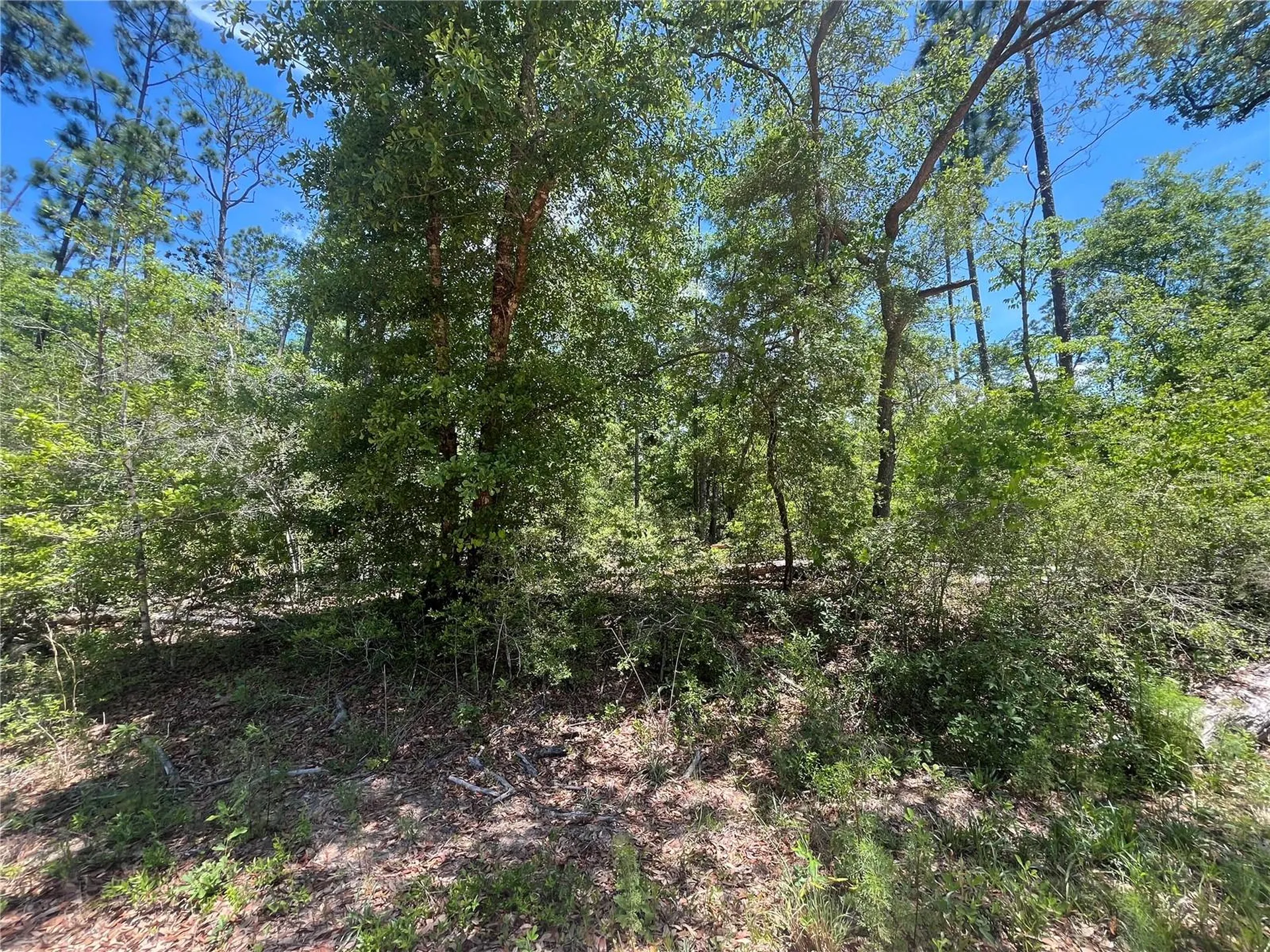 Tamarac Road Marianna FL 32448