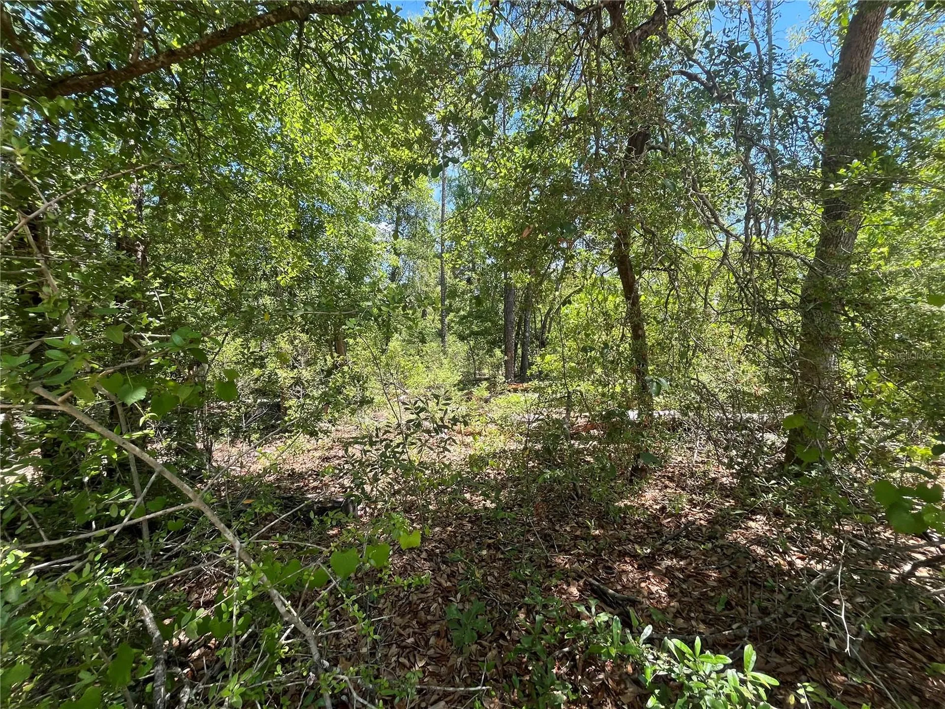 Tamarac Road Marianna FL 32448