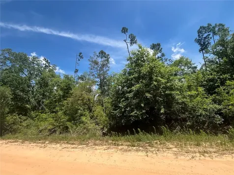 Tamarac Road Marianna FL 32448