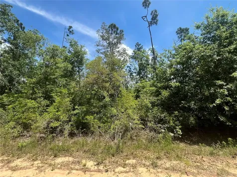 Tamarac Road Marianna FL 32448