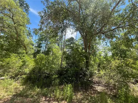 Tamarac Road Marianna FL 32448