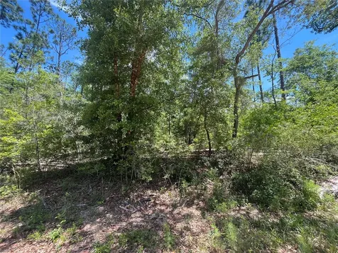 Tamarac Road Marianna FL 32448