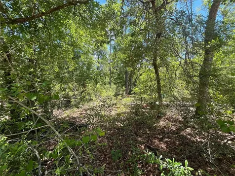 Tamarac Road Marianna FL 32448