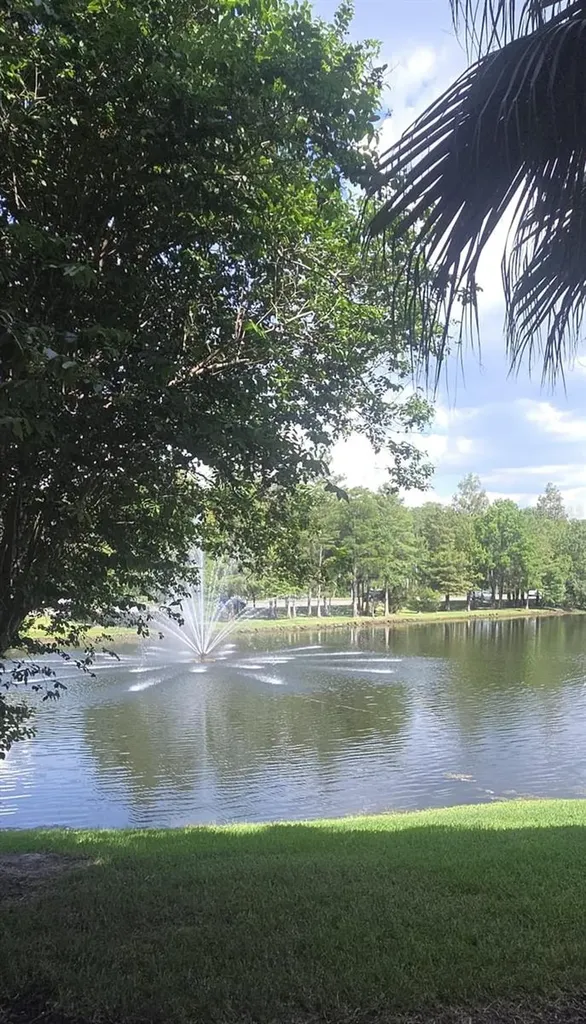 13584 Turtle Marsh Loop Orlando FL 32837