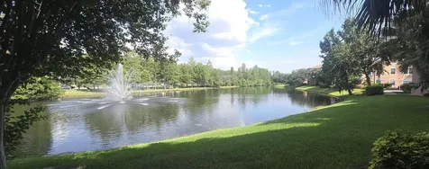 13584 Turtle Marsh Loop Orlando FL 32837