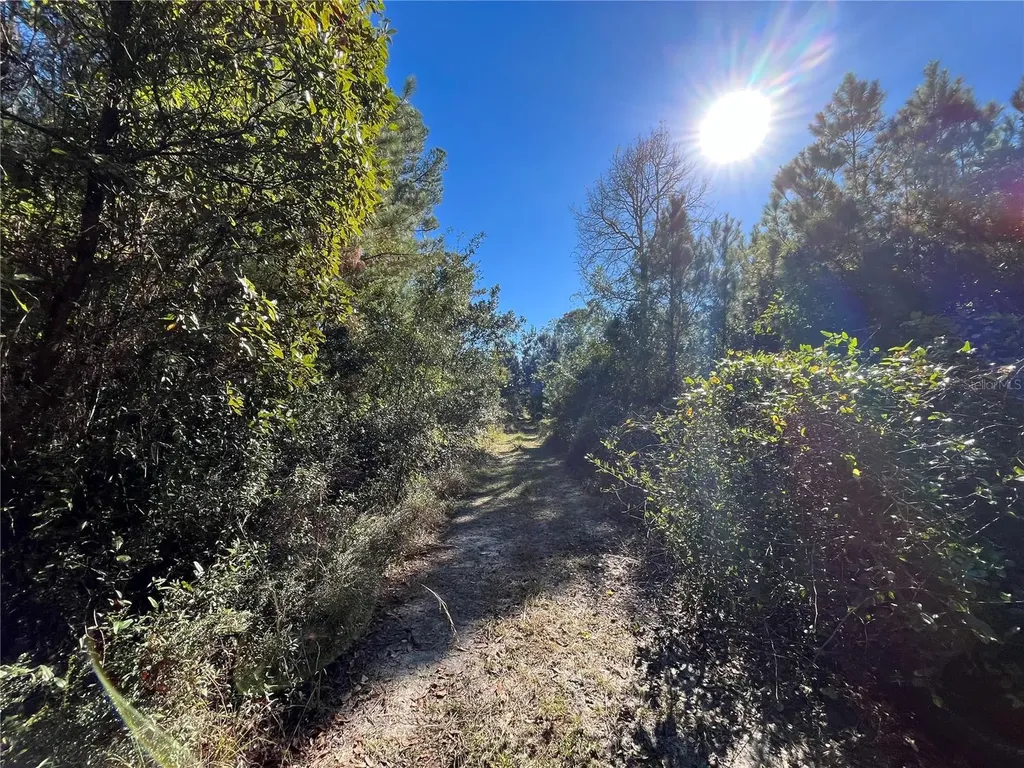 223 Mourning Dove Road Satsuma FL 32189