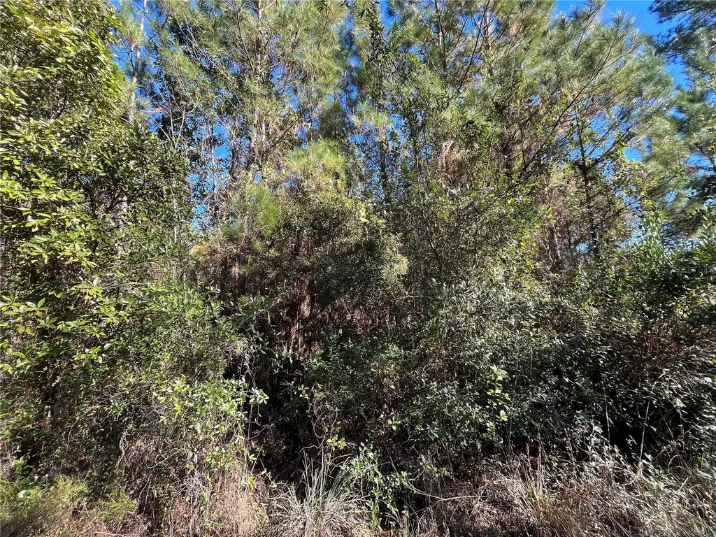 223 Mourning Dove Road Satsuma FL 32189