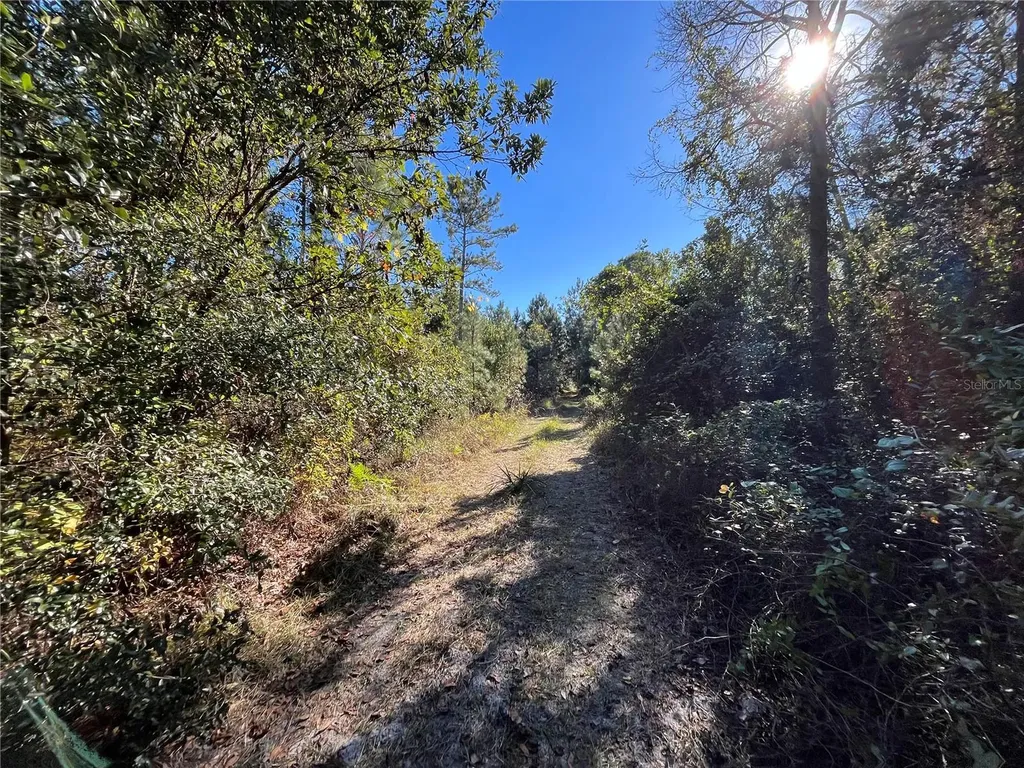 223 Mourning Dove Road Satsuma FL 32189